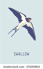 Swallow. Abstract vector illustration of the bird. Hand drawn textures,