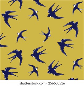 swallow bird