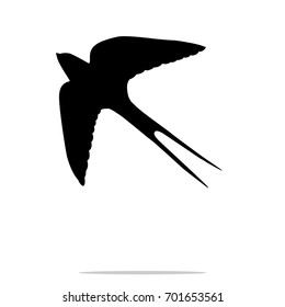 Swallow bird  black silhouette animal. Vector Illustrator.