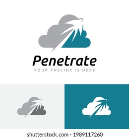 Swallow Bird Fly High Penetrate Cloud Internet Technology Logo