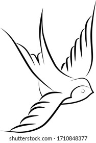 Swallow bird, fly, vector illustration