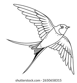 Swallow bird flying, Black and White Vector Illustration, Sketch Drawing Line Linear Symbol Icon Engraving, Hand-drawn Isolated