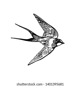 21,448 Flying bird doodle Images, Stock Photos & Vectors | Shutterstock