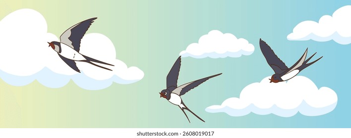 swallow bird flying in the sky.flying swallow birds vector illustration