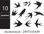 swallow bird graphic silhouette set