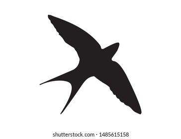 Swallow Bird Icon, Black and White Design