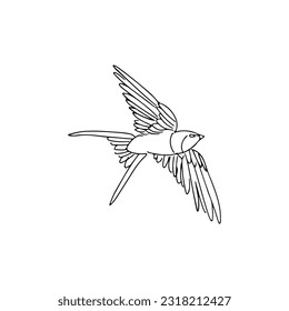 swallow bird illustration vector line concept