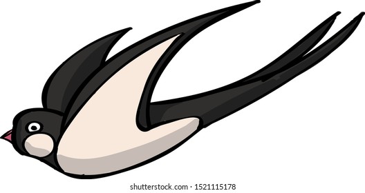 Pájaro tragar, ilustración, vector sobre fondo blanco.