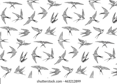 swallow bird line pattern