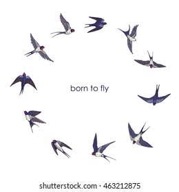 swallow bird round color set