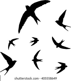 swallow, bird silhouette - vector illustration