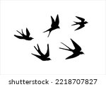 swallow bird vector design hand drawn