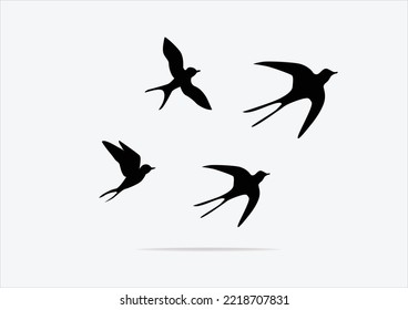 swallow bird vector design hand drawn