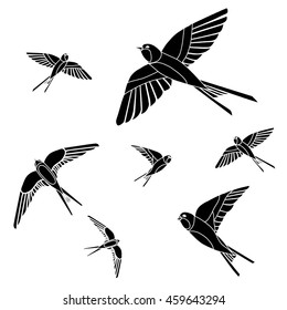 swallow bird - vector illustration