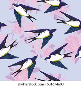 swallow bird vector illustration
