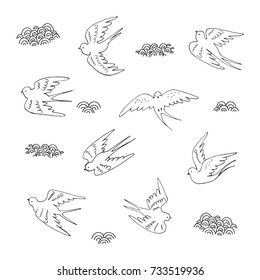 swallow bird vector illustration set