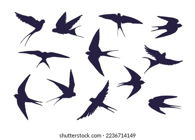 Swallow bird vector illustrations set.