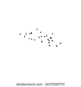 Swallow birds flying silhouette isolated on white background.