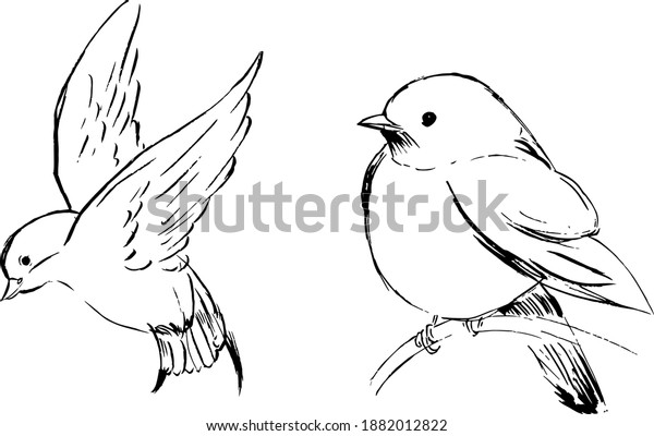 Swallow Birds Sketches Birds Vector Illustrations Stock Vector (Royalty ...