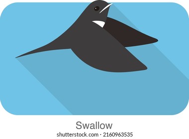 Swallow flat icon design, cartoon, vector illustration