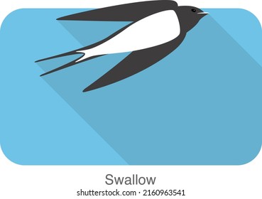 Swallow flat icon design, cartoon, vector illustration