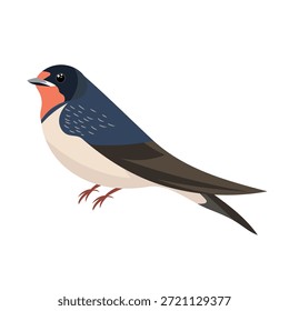 Swallow. Flat vector clipart, illustration with isolated background.