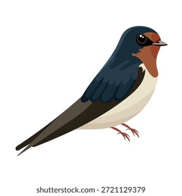 Swallow. Flat vector clipart, illustration with isolated background.