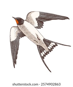 Swallow flight hand drawn illustration