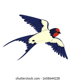 Swallow in flight isolated on a white background. Vector graphics.