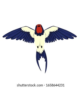Swallow in flight isolated on a white background. Vector graphics.