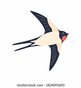 Swallow in flight. Vector illustration Isolated on white background.