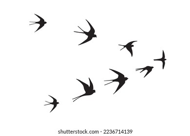 Trague el rebaño de aves iluminadas por vectores.