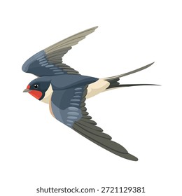 Swallow is flying. Flat vector clipart, illustration with isolated background.