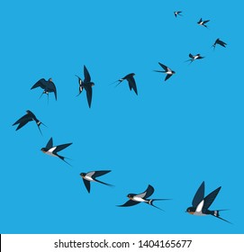 Swallow flying moving Animal Animation Sequence Cartoon Vector