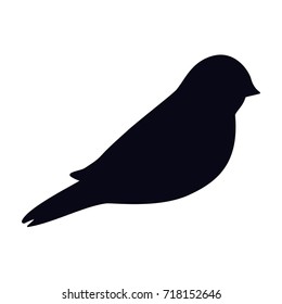 swallow icon