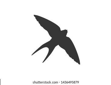Swallow icon. swallow bird fly icon.  Bird vector design. 