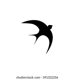 swallow icon vector illustration
