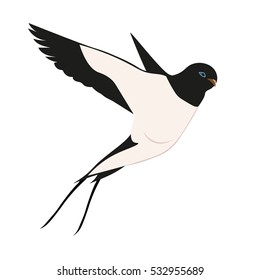 Swallow isolated on white background. Vector illustration