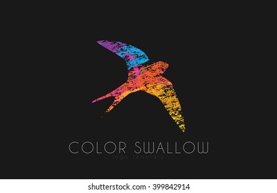 Swallow logo. Color swallow logo design. Bird logo design