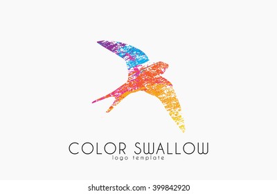 Swallow logo. Color swallow logo design. Bird logo design