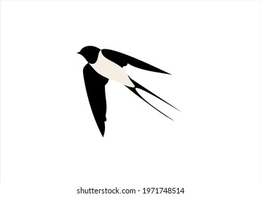 Swallow logo. Isolated swallow on background. Vector illustration