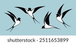 Swallow logo. Isolated swallow on white background