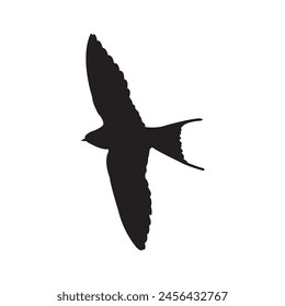 Swallow logo vector illustration design template.
