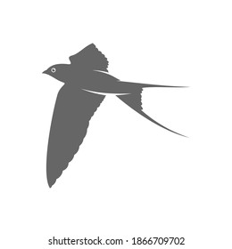Swallow logo vector template, Creative swallow logo design concepts, icon symbol, illustration