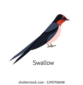 Swallow or Martin isolated on white background. Adorable small fast insectivorous bird. Gorgeous wild avian species. Cute little birdie. Modern vector illustration in trendy flat geometric style.