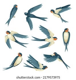 Swallow Or Martin Passerine Bird With Long Tail And Pointed Wings Flying And Gliding Vector Set