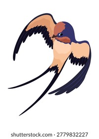 Swallow or Martin Passerine Bird with Long Tail and Pointed Wings