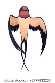Swallow or Martin Passerine Bird with Long Tail and Pointed Wings