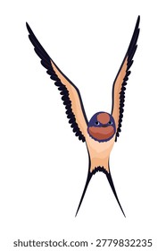 Swallow or Martin Passerine Bird with Long Tail and Pointed Wings