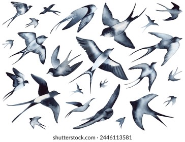 Swallow, martlet. Clear white sky, birds in a natural habitat. Barn swallow flying, wings spread. Hirundo rustica on white background. Wildlife. Tattoo design, watercolor art, set, wild animals, free